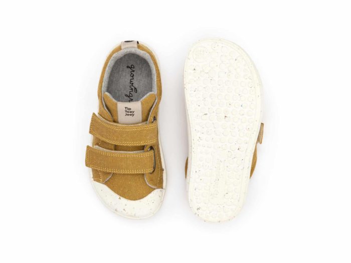 Tip Toey Joey - Ramp Green / Mostarda Eco Canvas