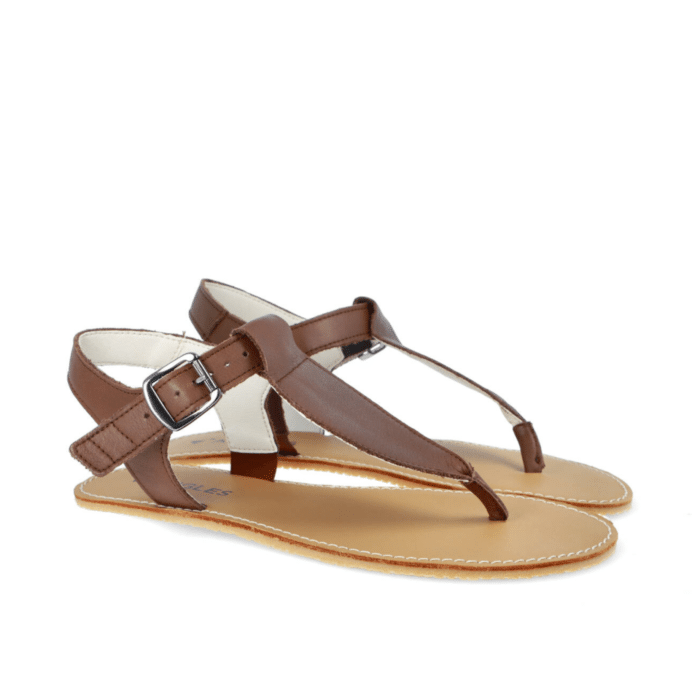Angles – Ares / Brown